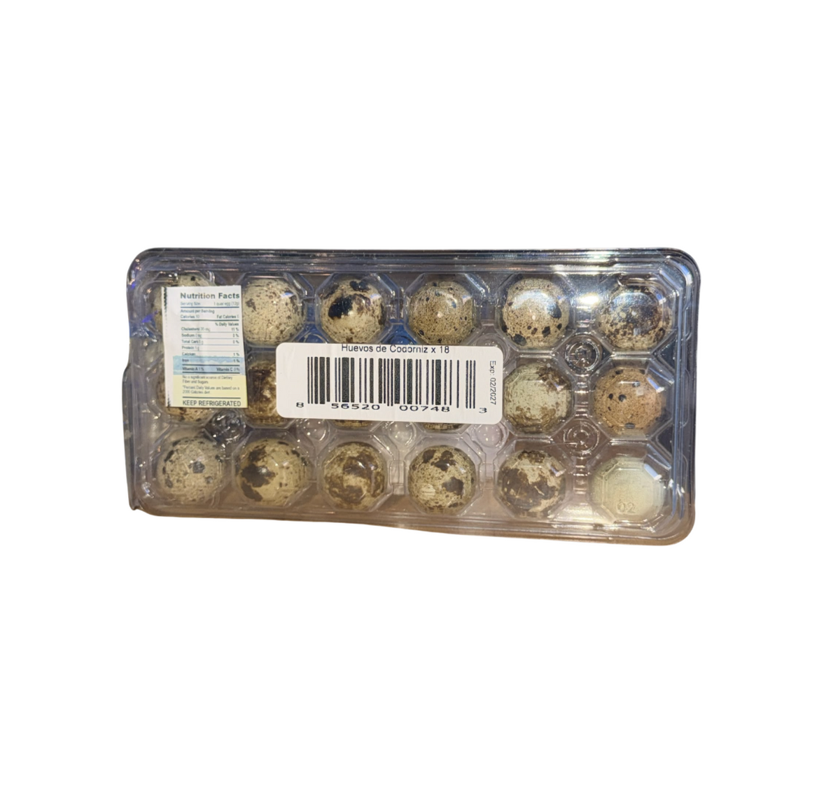 Congelados